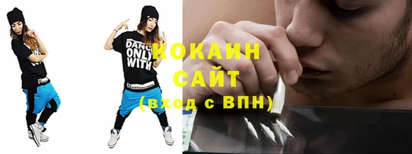 молекула духа Медвежьегорск