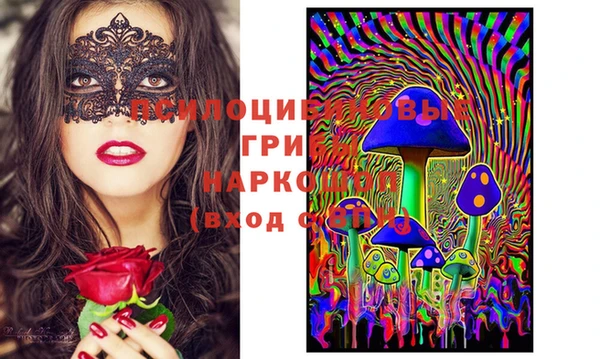 ECSTASY Михайловск