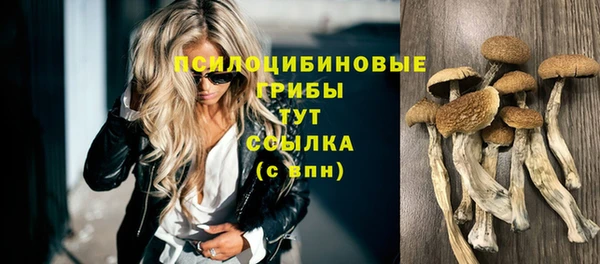 ECSTASY Михайловск