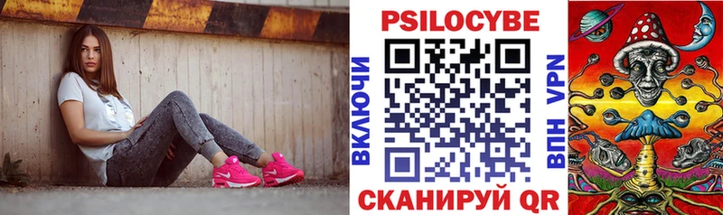 Псилоцибиновые грибы прущие грибы  Новое Девяткино 
